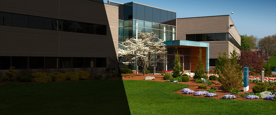 Webster Landscapers